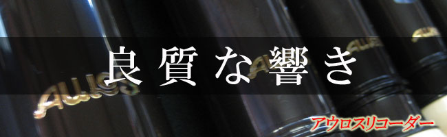 アウロスリコーダーについて