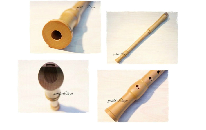 Mollenhouer2206̎ʐ^